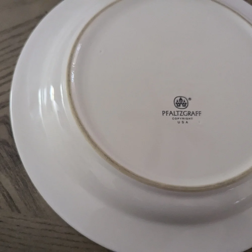 Pfaltzgraff Dinner Plate